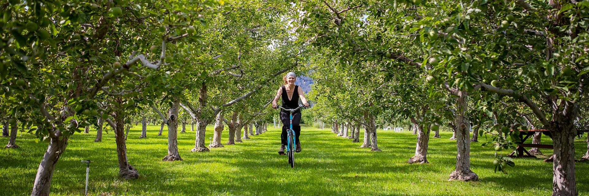 Biking in an orchard